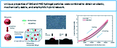 Graphical abstract: P2X7 receptor antagonist delivery vehicle based on photocrosslinked amphiphilic hybrid gels