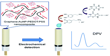 Graphical abstract: A facile one-pot green synthesis of gold nanoparticle-graphene-PEDOT:PSS nanocomposite for selective electrochemical detection of dopamine