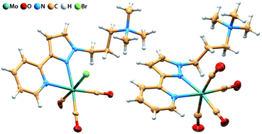 Graphical abstract: Molybdenum(0) tricarbonyl and tetracarbonyl complexes with a cationic pyrazolylpyridine ligand: synthesis, crystal structures and catalytic performance in olefin epoxidation