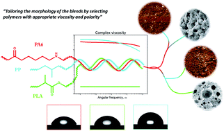 Graphical abstract: Novel compatibilized nylon-based ternary blends with polypropylene and poly(lactic acid): morphology evolution and rheological behaviour