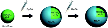 Graphical abstract: Epitaxial growth of ultrathin layers on the surface of sub-10 nm nanoparticles: the case of β-NaGdF4:Yb/Er@NaDyF4 nanoparticles