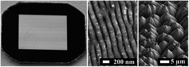 Graphical abstract: Generation of micro- and nano-morphologies on a stainless steel surface irradiated with 257 nm femtosecond laser pulses