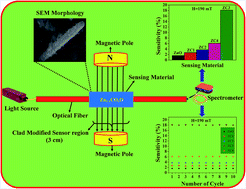 Graphical abstract: Fiber optic magnetic field sensor using Co doped ZnO nanorods as cladding