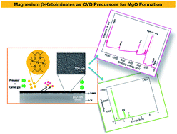 Graphical abstract: Magnesium β-ketoiminates as CVD precursors for MgO formation