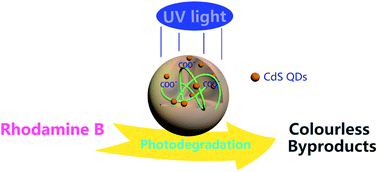 Graphical abstract: Synthesis of poly (N-isopropylacrylamide)-co-(acrylic acid) microgel-entrapped CdS quantum dots and their photocatalytic degradation of an organic dye
