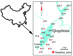 Graphical abstract: Risk assessment of an organochlorine pesticide mixture in the surface waters of Qingshitan Reservoir in Southwest China