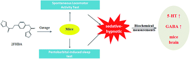 Graphical abstract: 4-Hydroxybenzyl alcohol derivatives and their sedative–hypnotic activities