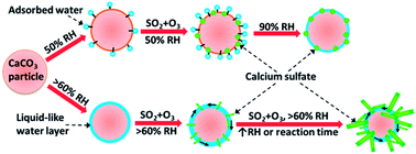 Graphical abstract: The formation and growth of calcium sulfate crystals through oxidation of SO2 by O3 on size-resolved calcium carbonate