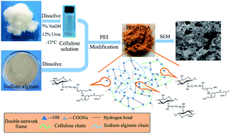 Graphical abstract: Adsorption of Cu(ii), Zn(ii), and Pb(ii) from aqueous single and binary metal solutions by regenerated cellulose and sodium alginate chemically modified with polyethyleneimine