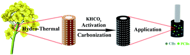 Graphical abstract: Sustainable synthesis of nanoporous carbons from agricultural waste and their application for solid-phase microextraction of chlorinated organic pollutants