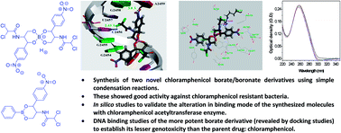 Graphical abstract: Chloramphenicol-borate/boronate complex for controlling infections by chloramphenicol-resistant bacteria
