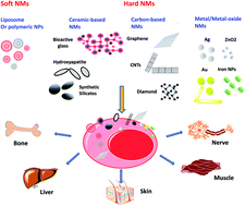 Graphical abstract: Recent review of the effect of nanomaterials on stem cells