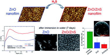 Graphical abstract: ZnS coating for enhanced environmental stability and improved properties of ZnO thin films