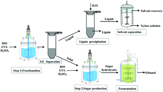Graphical abstract: Dilute acid catalyzed fractionation and sugar production from bamboo shoot shell in γ-valerolactone/water medium