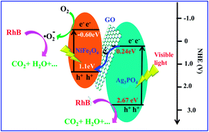 Graphical abstract: Fabrication of Ag3PO4/GO/NiFe2O4 composites with highly efficient and stable visible-light-driven photocatalytic degradation of rhodamine B