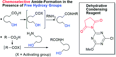 Graphical abstract: Imido-substituted triazines as dehydrative condensing reagents for the chemoselective formation of amides in the presence of free hydroxy groups