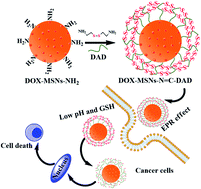 Graphical abstract: Functional polymeric dialdehyde dextrin network capped mesoporous silica nanoparticles for pH/GSH dual-controlled drug release