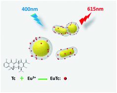 Graphical abstract: Development of a rapid and simple tetracycline detection system based on metal-enhanced fluorescence by europium-doped AgNP@SiO2 core–shell nanoparticles