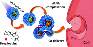 Graphical abstract: Co-delivery of anti-PLK-1 siRNA and camptothecin by nanometric polydiacetylenic micelles results in a synergistic cell killing