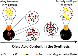 Graphical abstract: Manipulating the morphology of the nano oxide domain in AuCu–iron oxide dumbbell-like nanocomposites as a tool to modify magnetic properties