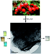 Graphical abstract: Green synthesis of Pd nanoparticles supported on reduced graphene oxide, using the extract of Rosa canina fruit, and their use as recyclable and heterogeneous nanocatalysts for the degradation of dye pollutants in water