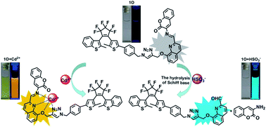 Graphical abstract: A highly selective fluorescent probe for detection of Cd2+ and HSO3− based on photochromic diarylethene with a triazole-bridged coumarin-quinoline group