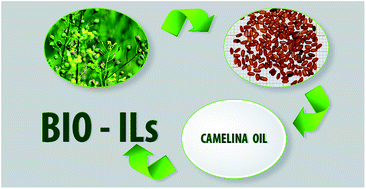 Graphical abstract: Ammonium bio-ionic liquids based on camelina oil as potential novel agrochemicals