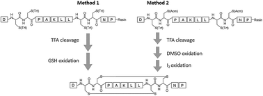 Graphical abstract: Total synthesis of μ-conotoxin lt5d