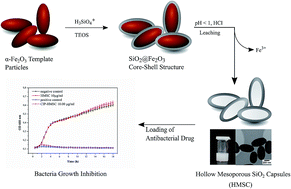 Graphical abstract: Hollow silica capsules for amphiphilic transport and sustained delivery of antibiotic and anticancer drugs