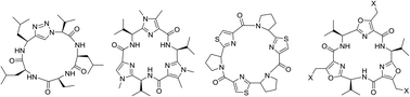Graphical abstract: Synthesis of novel cyclopeptides containing heterocyclic skeletons