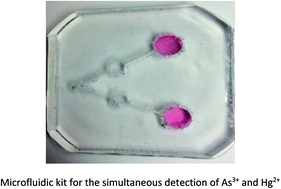 Graphical abstract: New portable smartphone-based PDMS microfluidic kit for the simultaneous colorimetric detection of arsenic and mercury