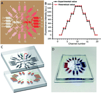 Graphical abstract: High-glucose 3D INS-1 cell model combined with a microfluidic circular concentration gradient generator for high throughput screening of drugs against type 2 diabetes