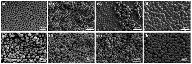 Graphical abstract: Superhydrophobic coatings on gelatin-based films: fabrication, characterization and cytotoxicity studies