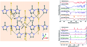 Graphical abstract: Exploring weak intermolecular interactions in thiocyanate-bonded Zn(ii) and Cd(ii) complexes with methylimidazole: crystal structures, Hirshfeld surface analysis and luminescence properties