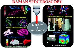 Graphical abstract: Challenges in application of Raman spectroscopy to biology and materials