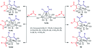 Graphical abstract: Reaction of FcC [[triple bond, length as m-dash]] CC(O)R (Fc = ferrocenyl) with Ru3(CO)12 leading to unexpected nitro-group reduced ruthenoles and 1,2-CO-inserted triruthenium clusters