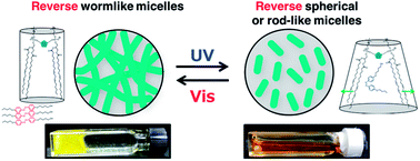 Graphical abstract: Photoinduced viscosity control of lecithin-based reverse wormlike micellar systems using azobenzene derivatives