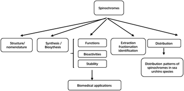 Graphical abstract: Naphthoquinones of the spinochrome class: occurrence, isolation, biosynthesis and biomedical applications