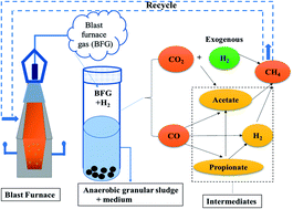 Graphical abstract: Biomethanation of blast furnace gas using anaerobic granular sludge via addition of hydrogen