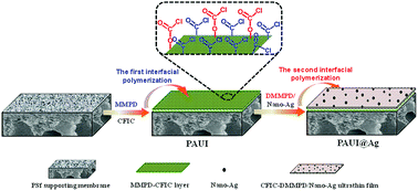 Graphical abstract: Modification of poly(amide-urethane-imide) (PAUI) thin film composite reverse osmosis membrane with nano-silver particles