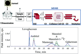 Graphical abstract: Simultaneous measurement of multiple organic tracers in fine aerosols from biomass burning and fungal spores by HPLC-MS/MS