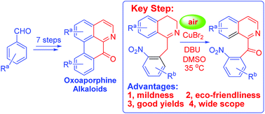 Graphical abstract: Novel total syntheses of oxoaporphine alkaloids enabled by mild Cu-catalyzed tandem oxidation/aromatization of 1-Bn-DHIQs
