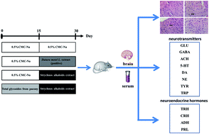 Graphical abstract: Neuroprotective effect of total glycosides from paeonies against neurotoxicity induced by strychnos alkaloids related to recovering the levels of neurotransmitters and neuroendocrine hormones in rat serum and brain