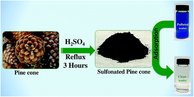 Graphical abstract: Adsorption of methylene blue and tetracycline onto biomass-based material prepared by sulfuric acid reflux