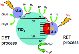 Graphical abstract: New insights into the surface plasmon resonance (SPR) driven photocatalytic H2 production of Au–TiO2