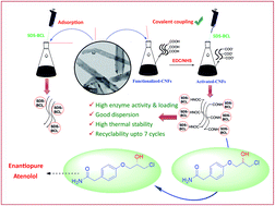 Graphical abstract: Facile fabrication of a recyclable nanobiocatalyst: immobilization of Burkholderia cepacia lipase on carbon nanofibers for the kinetic resolution of a racemic atenolol intermediate