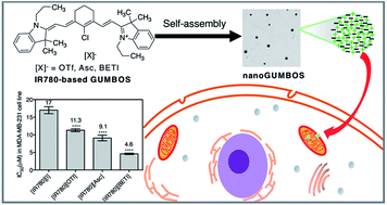 Graphical abstract: Mitochondria targeting IR780-based nanoGUMBOS for enhanced selective toxicity towards cancer cells