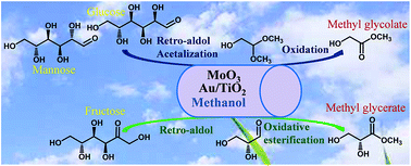Graphical abstract: Direct conversion of C6 sugars to methyl glycerate and glycolate in methanol