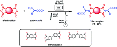 Graphical abstract: Highly efficient one-step microwave-assisted synthesis of structurally diverse bis-substituted α-amino acid derived diimides