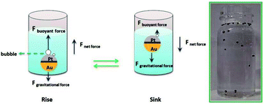 Graphical abstract: Buoyant force-induced continuous floating and sinking of Janus micromotors